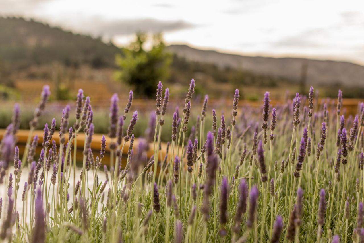 Kouwdouw Guest Farm Villa George Dış mekan fotoğraf